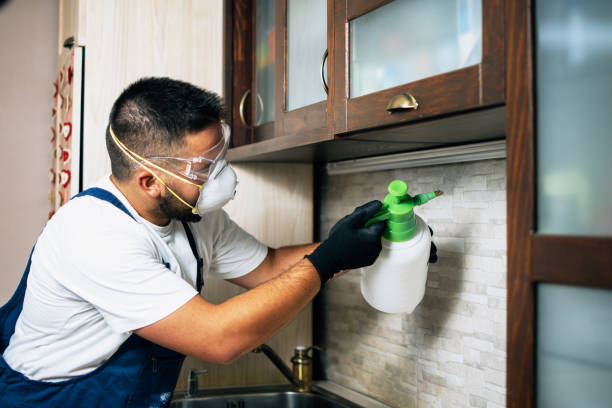 Best Best Pest Control Companies  in Sulphur, LA