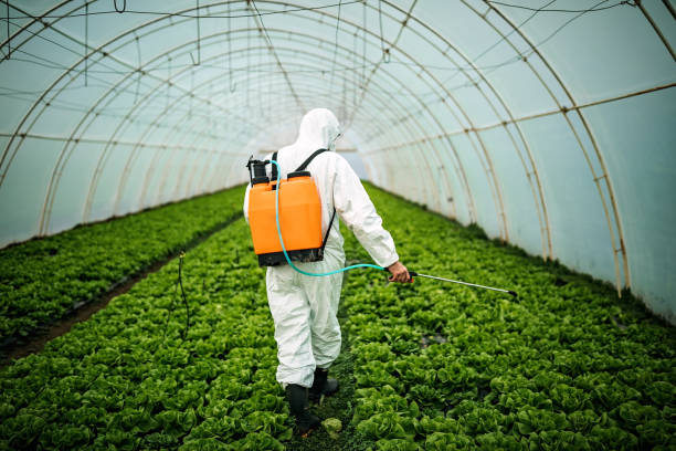 Reliable Sulphur, LA Pest Control Solutions