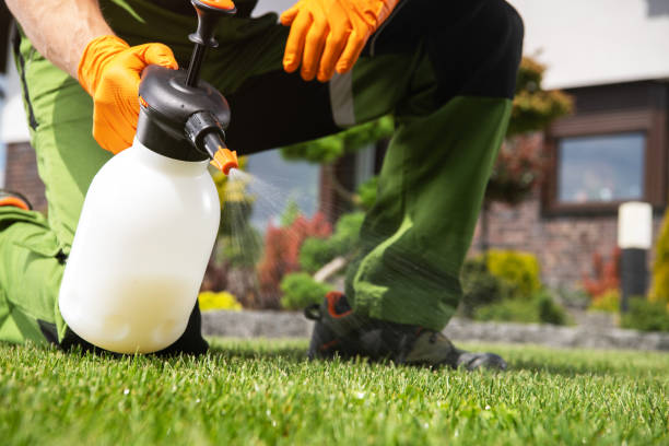 Best Cockroach Control Services  in Sulphur, LA