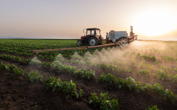 Best Pest Inspection Near Me  in Sulphur, LA