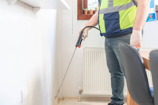 Best Residential Pest Control  in Sulphur, LA